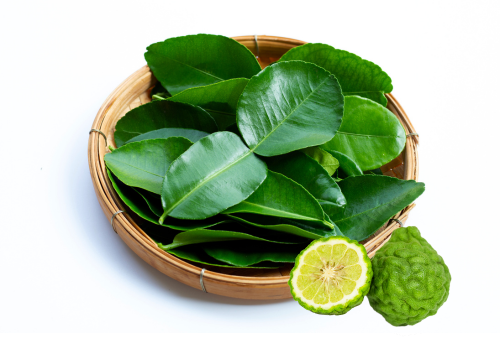 kaffir lime leaves, lime daun