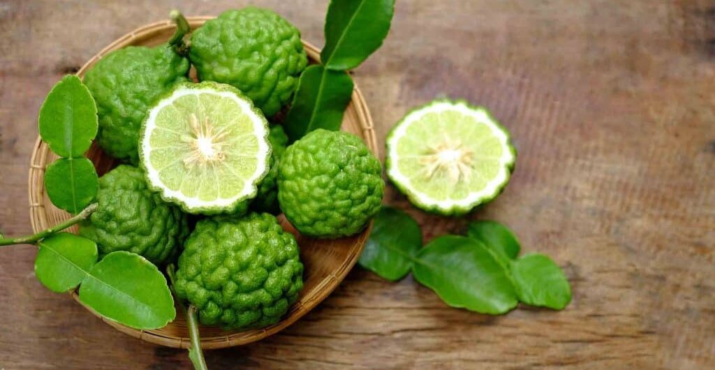 lime, kaffir lime, jeruk purut