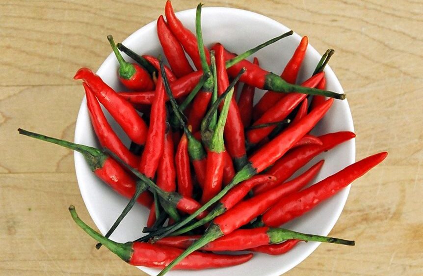 thai chili, cabe