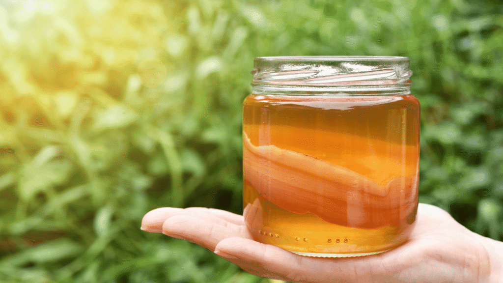 A glass of homemade kombucha with fizzy bubbles and a golden amber hue under natural light.
